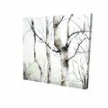 Fondo 32 x 32 in. Three Birches Trees-Print on Canvas FO2790081